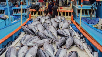 Musim Tuna Tiba, Nelayan Sendang Biru Kebanjiran Tangkapan