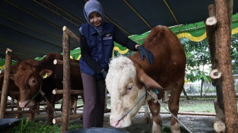 Wamentan Klaim Indonesia Surplus 800.000 Hewan Kurban