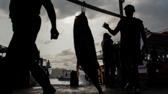 Pekerja mengangkat ikan tuna hasil tangkapan nelayan di Tempat Pelelangan Ikan (TPI) Sendang Biru, Kabupaten Malang, Jawa Timur, Kamis (28/5/2026). [ANTARA FOTO/Irfan Sumanjaya/YU]
