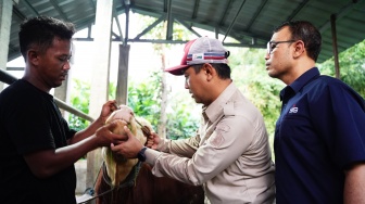 Dongkrak Ekonomi Lokal, SIG Tebar 292 Hewan Kurban di Momen Iduladha