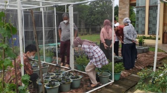 Dari Pekarangan ke Merah Putih: Ketika Ketahanan Pangan Tak Lagi Cukup Sekadar Menanam