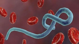 Amerika Larang Warganya yang Terjangkit Ebola Pulang, Dibiarkan di Kenya Karena Takut Menyebar