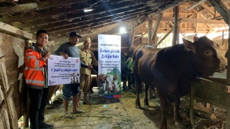 Semen Gresik Distribusikan 12 Ekor Sapi dan 4 Ekor Kambing untuk Masyarakat Rembang dan Blora