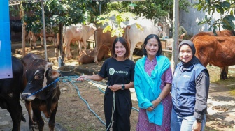 Indodax Salurkan Hewan Kurban ke Wilayah Aceh yang Terdampak Bencana