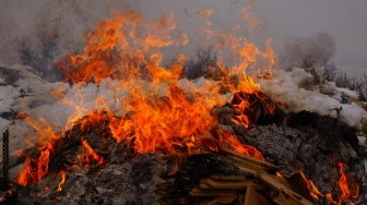Empat Hari Hilang, Wanita Muara Enim Ditemukan Tewas Dibakar Mantan Pacar, Ini Kronologinya
