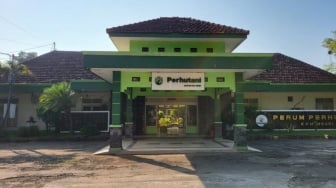 Skandal Kayu di KPH Ngawi: Jaksa Segel Alat Berat dan Sita Dokumen Rahasia