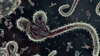 Ebola Makin Gila! Uganda Blokade Perbatasan Kongo, Abaikan WHO