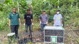 Penyelundupan Ratusan Burung Terbongkar! Detik-Detik Petugas Cegat Bus di Tol Bakter