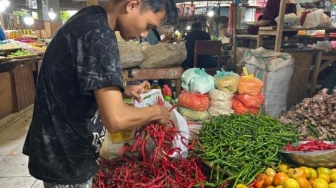 Ini Alasan Cabai Keriting Kurang Diminati di Gorontalo