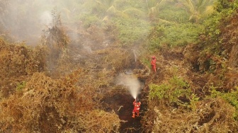 Manggala Agni Berupaya Padamkan Kebakaran Lahan 60 Hektare di Pelalawan