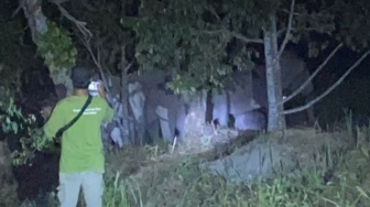 Belasan Gajah Liar Masuk Perkebunan, Warga Lapor Damkar Pekanbaru