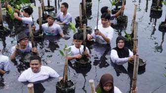 Belajar Langsung di Hutan Mangrove, Cara KLH Kenalkan Keanekaragaman Hayati ke Generasi Muda