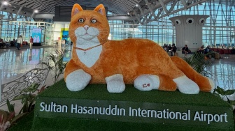 Mengapa Kucing British Jadi Ikon Bandara Sultan Hasanuddin? Ini Penjelasan Angkasa Pura