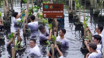 Menyiapkan Generasi Penjaga Lingkungan, Ratusan Pelajar Belajar Konservasi di Hutan Mangrove
