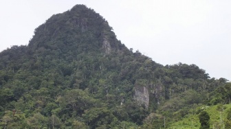 Pendaki Asal Bandar Lampung Nyaris Ditelan Rimba Gunung Tanggang