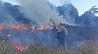 Penampakan Kebakaran Bukit Savana Propok Kawasan Gunung Rinjani