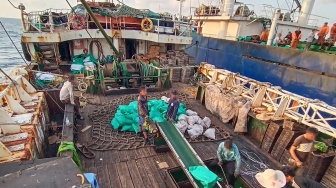 Ditendang, Dipukul hingga Mati di Laut: Derita ABK Indonesia di Armada Cumi-Cumi Dunia