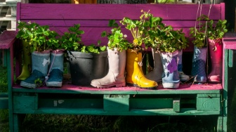 7 Ide Kreatif Sulap Barang Bekas Jadi Pot Tanaman Cantik, Wajib Coba!