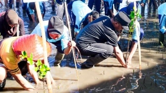 Gubernur Sulsel Tanam Mangrove di Selayar
