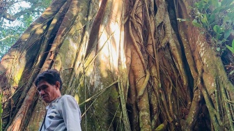 Apa Itu Jongot? Cara Orang Musi Menjaga Pangan, Air, dan Ingatan Leluhur di Sumsel