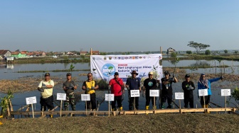 Dukung Hari Lingkungan Hidup Sedunia, PT Bhimasena Power Indonesia Siapkan 30 Ribu Bibit Mangrove