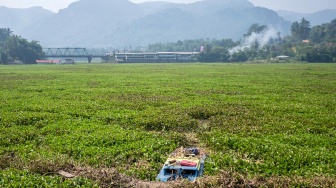 Lautan Eceng Gondok Selimuti Permukaan Sungai Citarum
