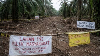 Konflik Agraria Muba Memanas, 3 Petani Jadi Tersangka Usai Dituduh Mencuri di Kebun Sendiri