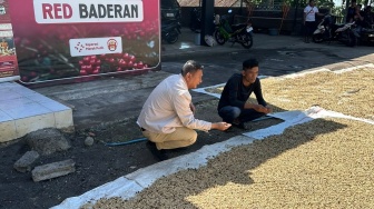 Satu Mesin Setara 7.500 Luwak: Inovasi Unhas Ubah Nasib Petani Kopi Argopuro