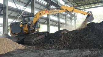 PTBA Uji Biomassa Kaliandra Merah untuk Kurangi Emisi Karbon dan Dukung Transisi Energi