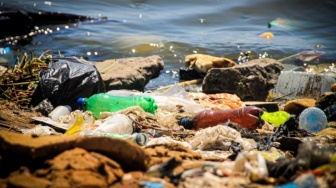Sinar Matahari Ternyata Tak Cukup: Temuan Baru Ungkap Mengapa Plastik Bertahan Lama di Perairan