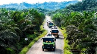 Uji Coba B50 di 6 Sektor Sekaligus: Amankah Sawit 50 Persen untuk Mesin Kendaraan?