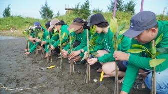 Bukan Cuma Cegah Abrasi, Inilah Manfaat Mangrove Bagi Keberlanjutan Ekonomi Pesisir