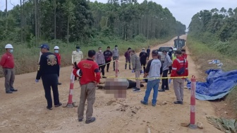 Tapir Mati Mengenaskan di Areal Perusahaan, Diduga Ditabrak Truk Besar