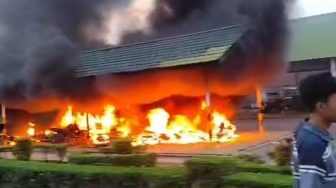 Dari Sawit hingga Mess Dibakar, Ini Kronologi Kerusuhan PT BCP Group Wilmar