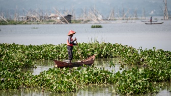 Nelayan mencari ikan di desa wisata Kampung Rawa, Ambarawa, Kabupaten Semarang, Jawa Tengah, Kamis (25/6/2026). [ANTARA FOTO/Aprillio Akbar/YU]