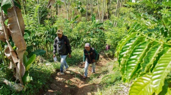 Dua petugas sensus mendaki perbukitan saat melaksanakan Sensus Ekonomi 2026 di Desa Sumberlangsep, Kecamatan Candipuro, Lumajang, Jawa Timur, Kamis (25/6/2026). [ANTARA FOTO/Irfan Sumanjaya/tom]