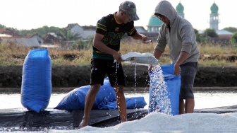 Petani memanen garam di tambak kawasan Panggungrejo, Pasuruan, Jawa Timur, Minggu (28/6/2026). [ANTARA FOTO/Umarul Faruq/sgd]
