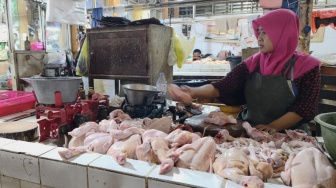 Program MBG Libur, Harga Daging di Pasar Jogja Turun Drastis, Pembeli Bisa Menikmati Ayam Murah Lagi