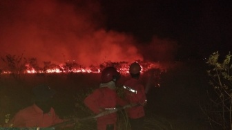 Api Melalap 10 Hektare Lahan di Dekat Tol Palindra, Manggala Agni Turun hingga Dini Hari