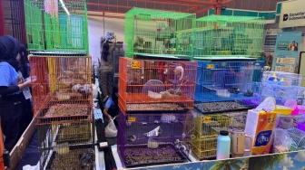 Pet Lovers Merapat! Pameran Ini Hadirkan Ragam Aktivitas Edukasi hingga Kebutuhan Hewan Peliharaan