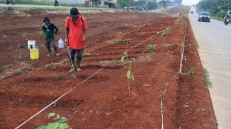 Pekerja menyiram lahan pertanian yang sedang dibangun di kawasan Jalan Raya Bojonggede- Kemang, Kabupaten Bogor, Jawa Barat, Senin (6/7/2026). [ANTARA FOTO/Yulius Satria Wijaya/wsj]