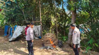 Arena Judi Sabung Ayam di Malang Selatan Berakhir Jadi Abu