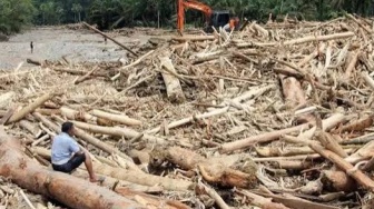 Mengapa Penebangan Hutan Bisa Membuat Banjir Semakin Sering Terjadi?