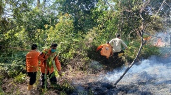 Karhutla di Paluta Hanguskan 5 Hektare, Penyebab Masih Diselidiki