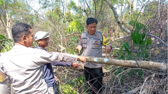 Petani di Lampung Utara Tewas Tertimpa Pohon yang Ditebangnya