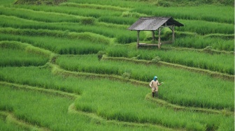 Bikin Geleng-Geleng! 5 Desa di Indonesia dengan Aturan yang Tak Bisa Kamu Temukan di Tempat Lain