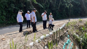 Bukan Beton, Tapi Bambu: Jurus Back to Nature Amankan Jalur Liwa-Sumsel dari Longsor