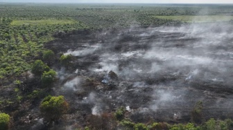 Manggala Agni 'Gempur' Karhutla Seluas 7 Hektare di Rokan Hilir