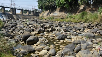Kemarau Mulai Terasa, Debit Ciliwung di Bendungan Katulampa Turun Drastis
