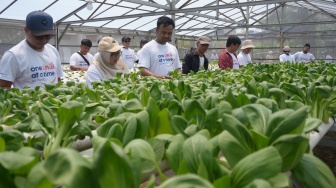 Ketika Ketahanan Pangan Dimulai dari Kebun Warga hingga Dapur Keluarga